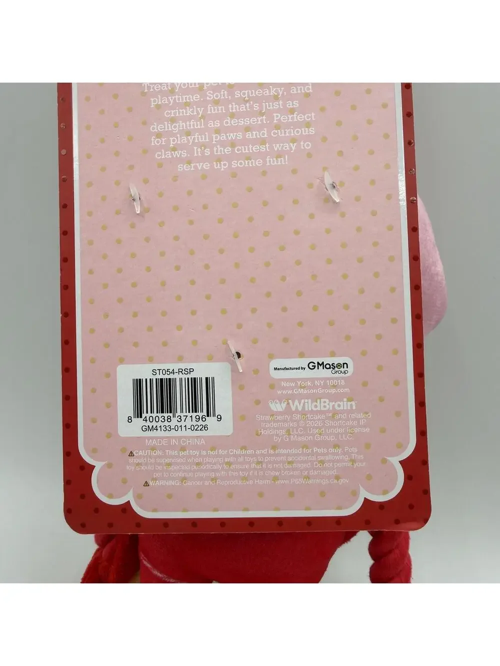 Strawberry Shortcake Doll 9